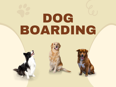 Dog Boarding